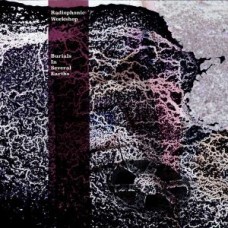 RADIOPHONIC WORKSHOP-BURIALS IN.. -LTD- (4LP)