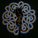 GABY HERNANDEZ-SPIRIT REFLECTION (CD)