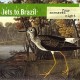 JETS TO BRAZIL-FOUR CORNERED NIGHT -HQ- (2LP)