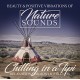 V/A-CHILLING IN A TIPI (CD)