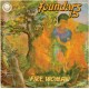FOUNDARS 15-FIRE WOMAN (LP)