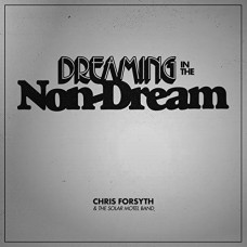CHRIS FORSYTH-DREAMING IN THE NON-DREAM (LP)