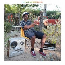 DJ HARRISON-HAZY MOODS (LP)
