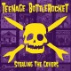 TEENAGE BOTTLE ROCKET-STEALING THE COVERS (LP)