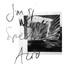 JAN ST. WERNER-SPECTRIC ACID (CD)