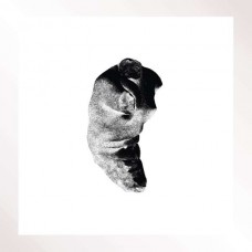 PATRICIA-SEVERAL SHADES OF ..-2 (LP)