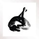 PATRICIA-SEVERAL SHADES OF..-3 (LP)