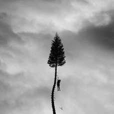 MANCHESTER ORCHESTRA-A BLACK MILE TO THE SURFACE (CD)
