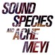 SOUNDSPECIES & ACHE MEYI-SOUNDSPECIES & ACHE MEYI (2LP)
