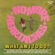 V/A-NO MORE HEARTACHES/WHAT.. (CD)