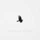 TODDLA T-FOREIGN LIGHT (CD)