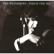 WATERBOYS-THIS IS THE.. -COLL. ED- (2CD)