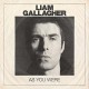 LIAM GALLAGHER-AS YOU WERE (CD)