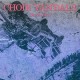 CHOIR VANDALS-DARK GLOW (LP)