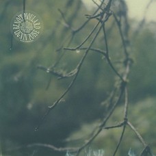 BENOIT PIOULARD-LIGNIN POISE (LP)