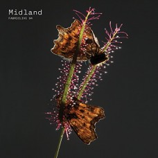 MIDLAND-FABRICLIVE 94 MIDLAND (CD)