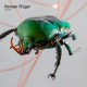 ROMAN FLUGEL-FABRIC 95 ROMAN FLUGEL (CD)