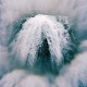 VON HAZE-VII (LP)