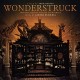 B.S.O. (BANDA SONORA ORIGINAL)-WONDERSTRUCK (CD)