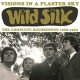 WILD SILK-VISIONS IN A PLASTER.. (CD)
