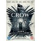 FILME-CROW (DVD)