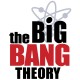 SÉRIES TV-BIG BANG THEORY SEASON 10 (3DVD)