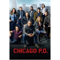 SÉRIES TV-CHICAGO P.D. - SEASON 4 (6DVD)