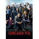 SÉRIES TV-CHICAGO P.D. - SEASON 4 (6DVD)