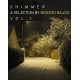V/A-SHIMMER - A SELECTION (CD)