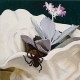 F INGERS-AWKWARDLY BLISSING OUT (LP)