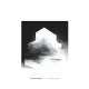 DE BEREN GIEREN-DUG OUT SKYSCRAPERS (CD)