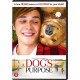 FILME-A DOG'S PURPOSE (DVD)