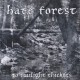 HATE FOREST-TO TWILIGHT THICKETS (CD)