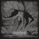 HAMFERD-TAMSINS LIKAM (CD)