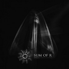 SUM OF R-ORGA (LP)
