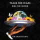 TEARS FOR FEARS-RULE THE WORLD (THE GREATEST HITS) (CD)