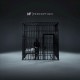 NF-PERCEPTION (CD)