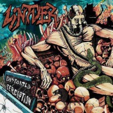 LINTVER-DISTORTED PERCEPTION (CD)
