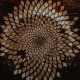 SCALE THE SUMMIT-COLLECTIVE -COLOURED- (LP)