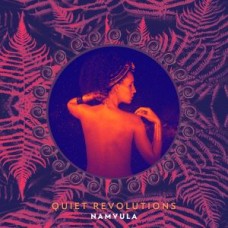 NAMVULA-QUIET REVOLUTIONS (CD)