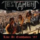 TESTAMENT-LIVE AT EINDHOVEN (CD)