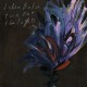 JULIEN BAKER-TURN OUT THE LIGHTS (LP)