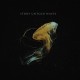 STORY UNTOLD-WAVES (CD)