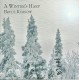 BRUCE KURNOW-A WINTER'S HARP (CD)