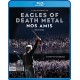 EAGLES OF DEATH METAL-NOS AMIS (OUR FRIENDS) (BLU-RAY)