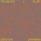 TED MILTON & BLURT-RUMINANT VIOLENCE (12")