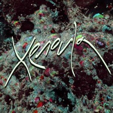 XENOULA-XENOULA -HQ/DOWNLOAD- (LP)