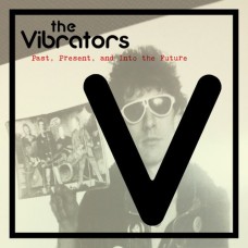 VIBRATORS-PAST, PRESENT AND INTO.. (CD)