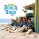 BEACH BOYS-SURFIN (LP)