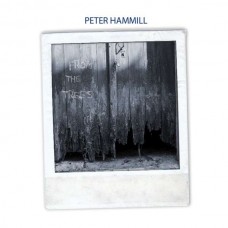PETER HAMMILL-FROM THE TREES (LP)